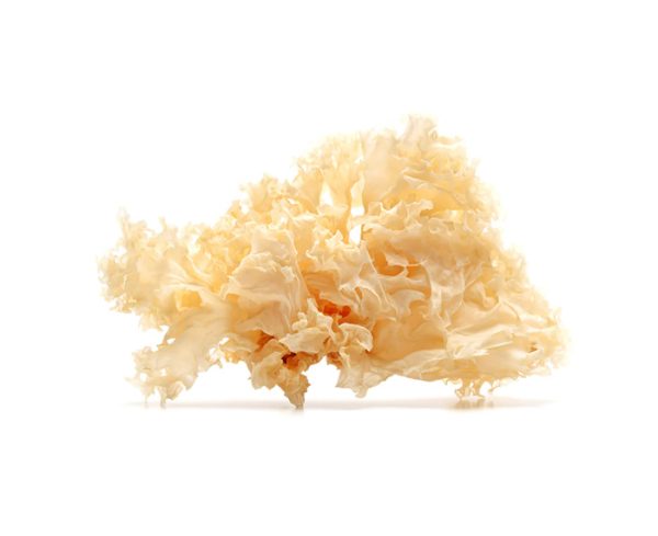 Dried White Fungus